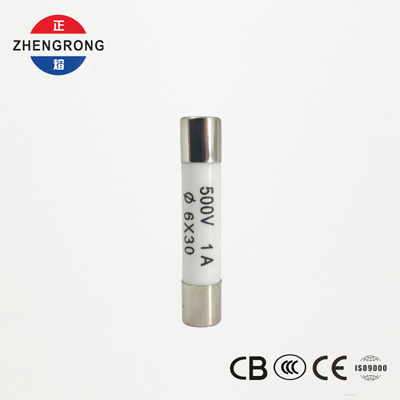 海外代理店向けの高品質 6*30mm R058 ヒューズ 1A